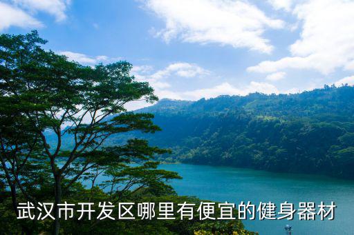 武汉市开发区哪里有便宜的健身器材