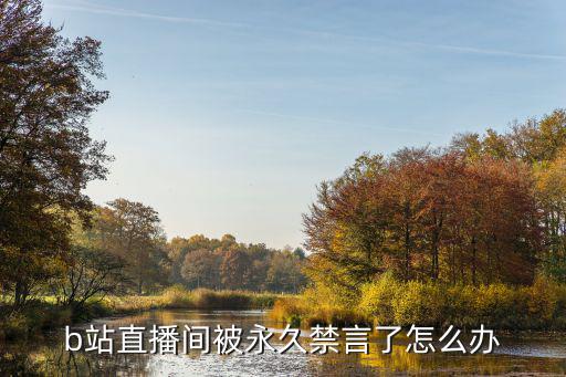 b站直播间被永久禁言了怎么办