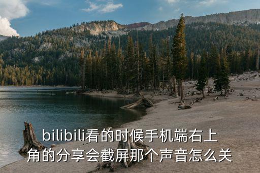 bilibili看的时候手机端右上角的分享会截屏那个声音怎么关