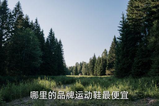 最便宜的运动品牌，价格最低的品牌运动鞋