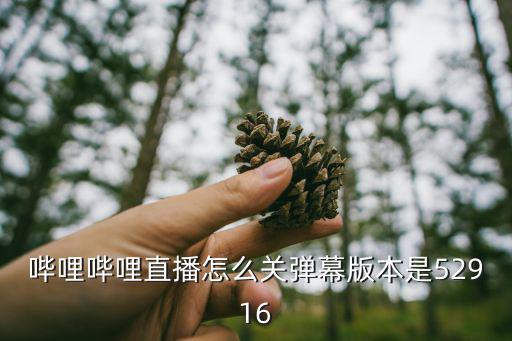 哔哩哔哩直播怎么关弹幕版本是52916