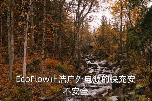 EcoFlow正浩户外电源的快充安不安全