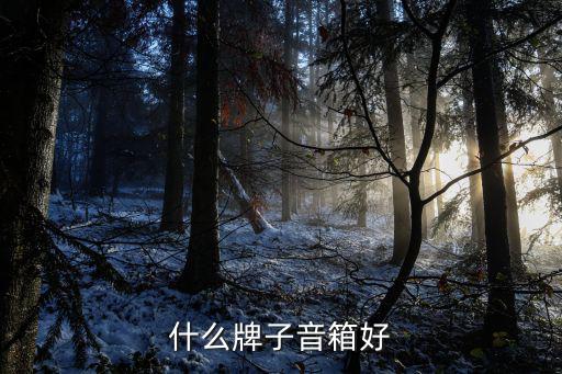 什么牌子音箱好