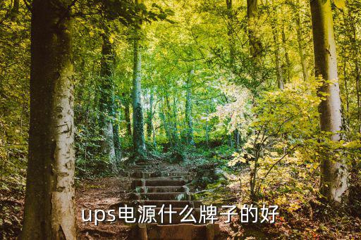 户外电源推荐哪个品牌好，什么牌子的电源好