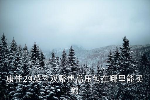 康佳29英寸双聚焦高压包在哪里能买到