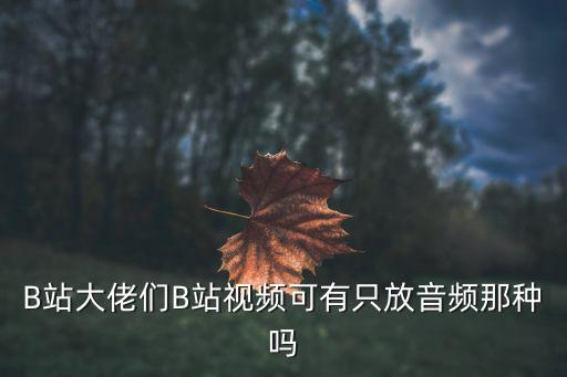 b站仅播放声音会省流量吗，b站离线看视频还费流量吗