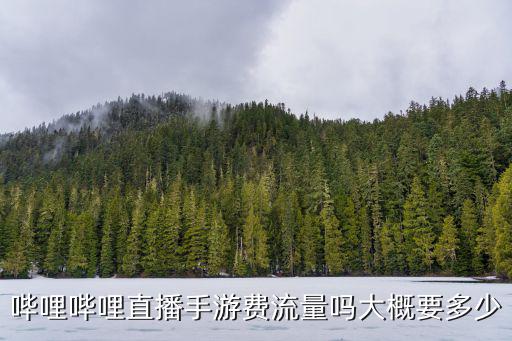哔哩哔哩直播手游费流量吗大概要多少