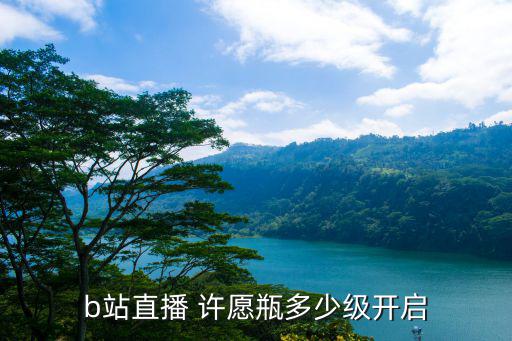b站直播 许愿瓶多少级开启