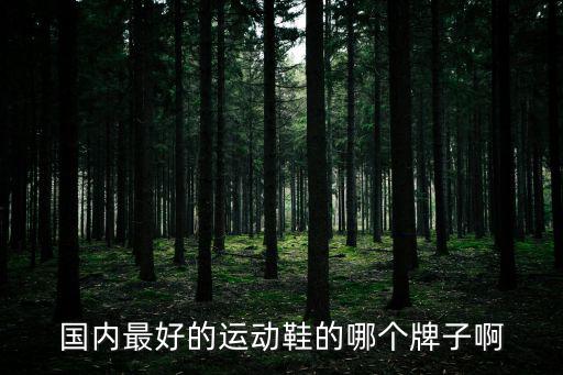 国内最好的运动鞋的哪个牌子啊
