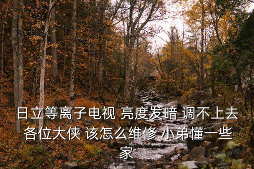 日立等离子电视 亮度发暗 调不上去 各位大侠 该怎么维修 小弟懂一些家