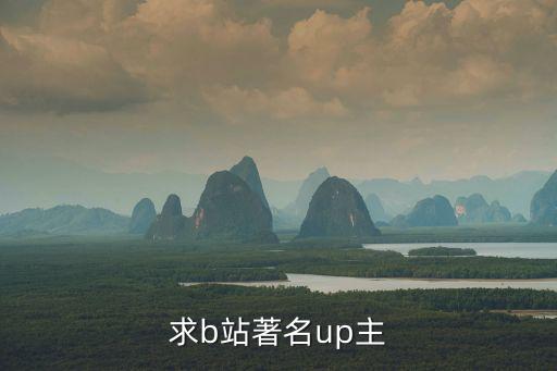 求b站著名up主