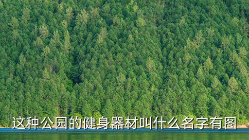 这种公园的健身器材叫什么名字有图
