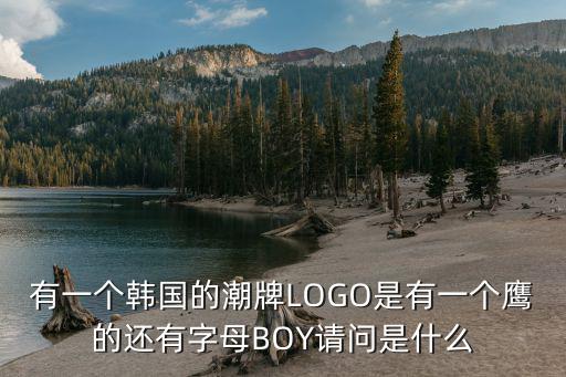 有一个韩国的潮牌LOGO是有一个鹰的还有字母BOY请问是什么