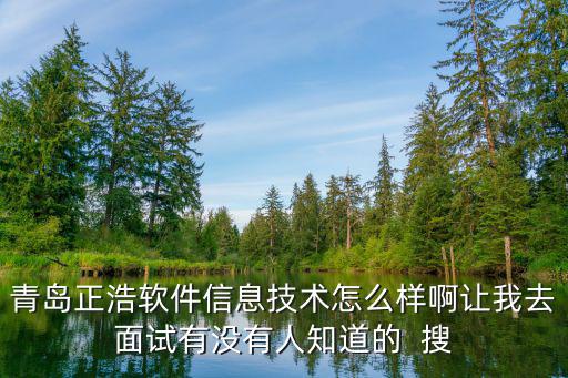 青岛正浩软件信息技术怎么样啊让我去面试有没有人知道的  搜