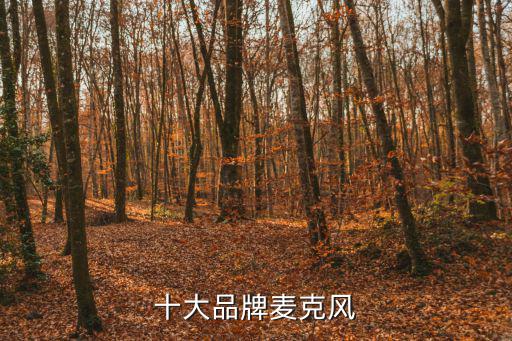 唱歌麦克风品牌排行榜前十名，k歌麦克风哪个牌子好
