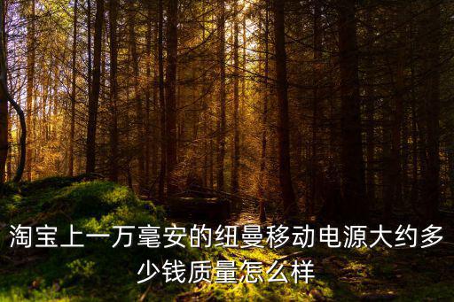 淘宝上一万毫安的纽曼移动电源大约多少钱质量怎么样