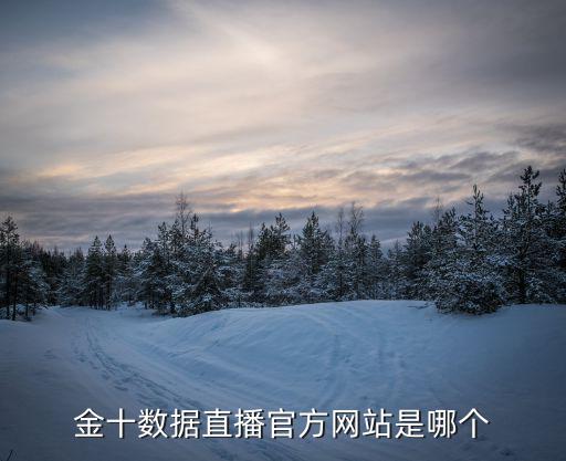 金十数据直播官方网站是哪个