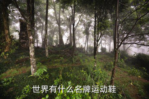 世界有什么名牌运动鞋