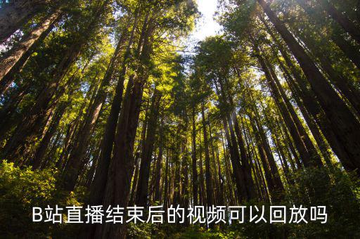B站直播结束后的视频可以回放吗
