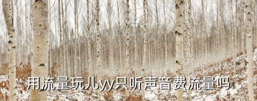 用流量玩儿yy只听声音费流量吗
