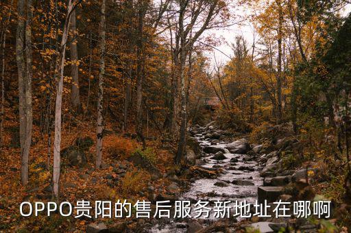 OPPO贵阳的售后服务新地址在哪啊
