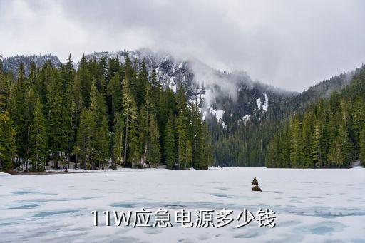 11W应急电源多少钱
