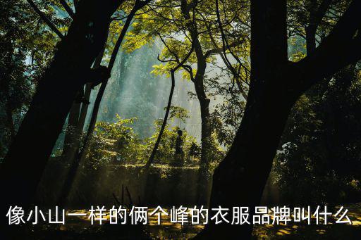 山峰是什么牌子冲锋衣，像小山一样的俩个峰的衣服品牌叫什么