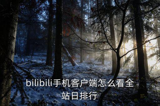 bilibili手机客户端怎么看全站日排行