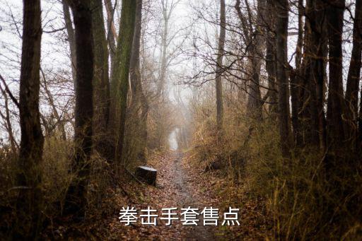 拳击手套售点
