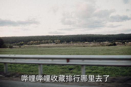 哔哩哔哩直播排行榜在哪找，哔哩哔哩收藏排行榜在哪