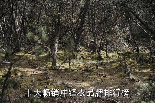 十大畅销冲锋衣品牌排行榜
