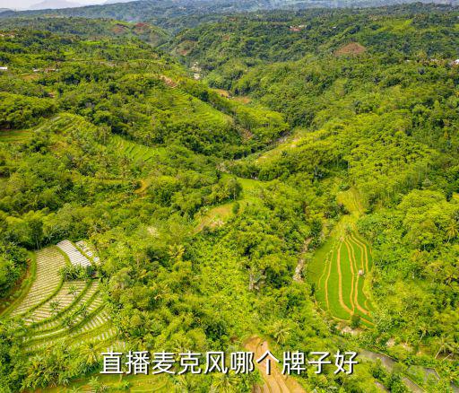 直播麦克风哪个品牌音质最好兼容，直播麦克风哪个牌子好