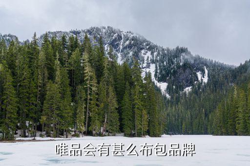 唯品会有甚么布包品牌