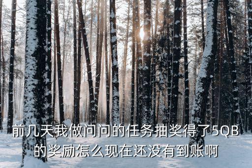 前几天我做问问的任务抽奖得了5QB的奖励怎么现在还没有到账啊