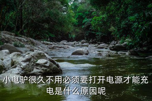 小电驴很久不用必须要打开电源才能充电是什么原因呢
