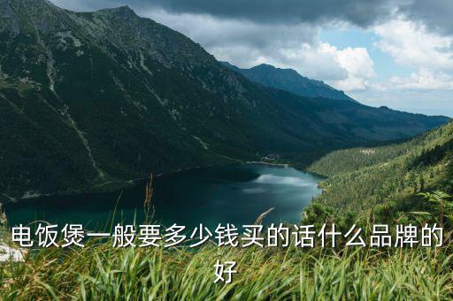 电饭煲一般要多少钱买的话什么品牌的好
