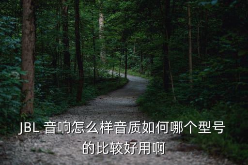 JBL 音响怎么样音质如何哪个型号的比较好用啊