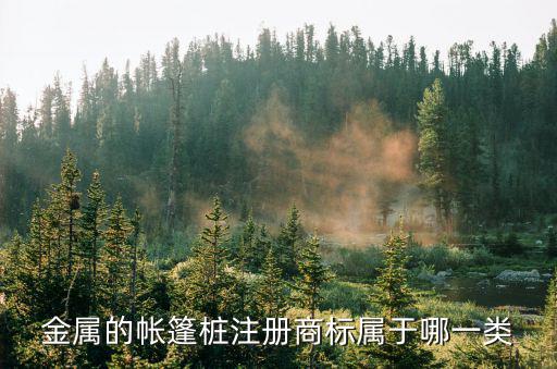 金属的帐篷桩注册商标属于哪一类