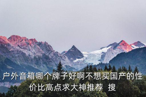 户外音箱哪个牌子好啊不想买国产的性价比高点求大神推荐  搜
