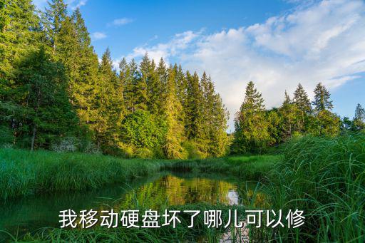 我移动硬盘坏了哪儿可以修