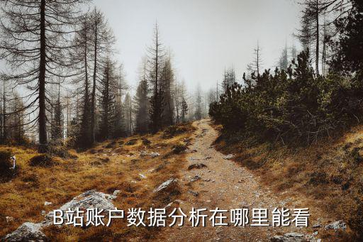 b站用户群体分析，B站用户是什么样的人