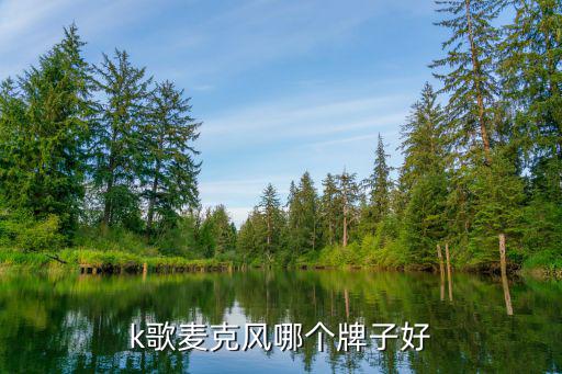 k歌麦克风哪个牌子好
