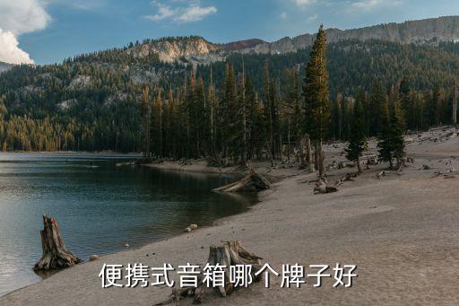 便携式音箱哪个牌子好