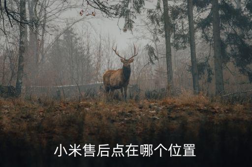 成都小米的售后在哪里，小米售后点在哪个位置