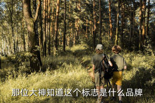 那位大神知道这个标志是什么品牌