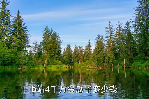 b站2000两千是什么瓜，b站4千万金瓜子多少钱