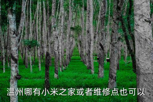 小米温州售后服务在哪里，小米售后点在哪个位置