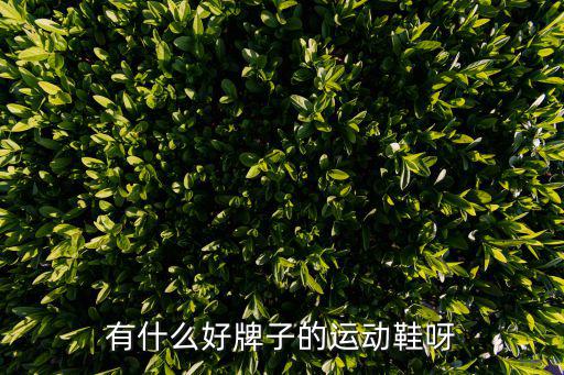 运动鞋都有什么品牌，有什么好牌子的运动鞋呀