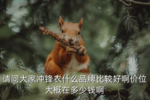 请问大家冲锋衣什么品牌比较好啊价位大概在多少钱啊