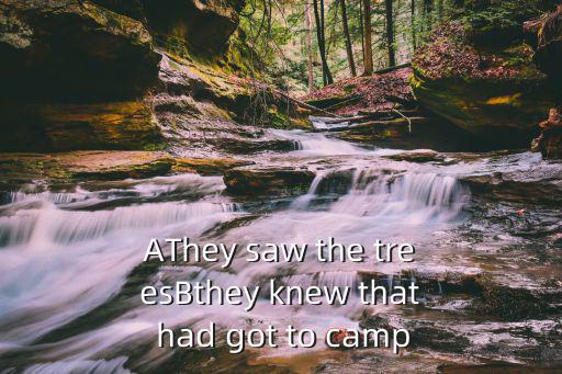 AThey saw the treesBthey knew that had got to camp